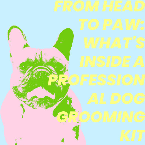 From Head to Paw: What's Inside a Professional Dog Grooming Kit
