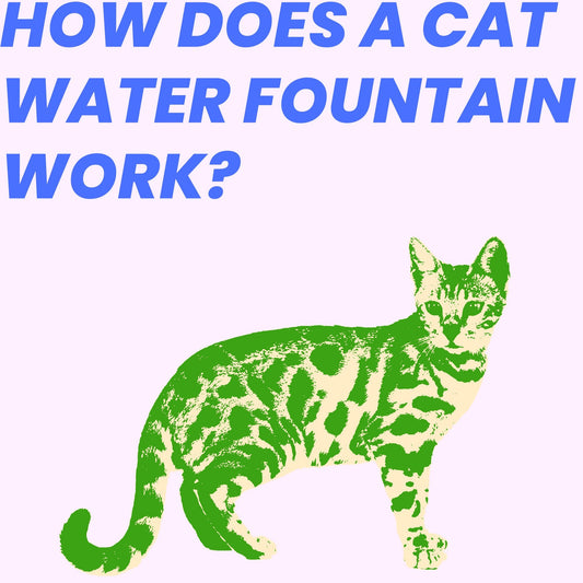 How Does a Cat Water Fountain Work?