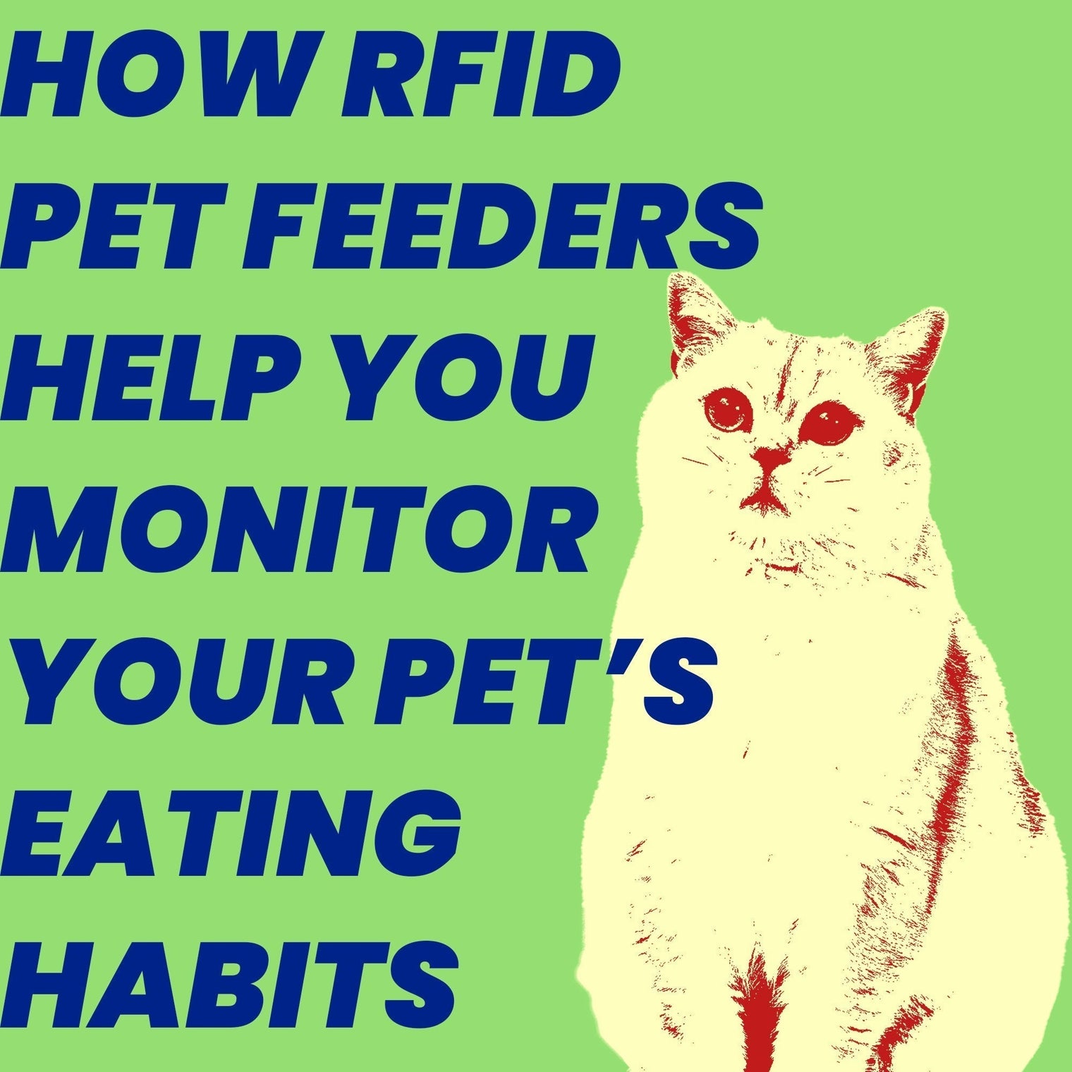 How RFID Pet Feeders Help You Monitor Your Pet’s Eating Habits
