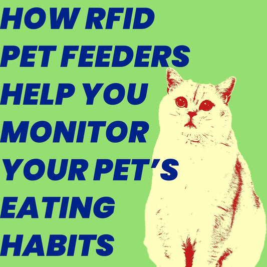 How RFID Pet Feeders Help You Monitor Your Pet’s Eating Habits