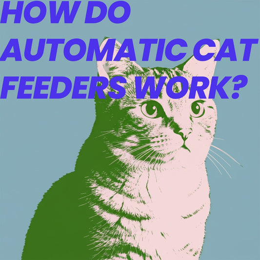 How do automatic cat feeders work?