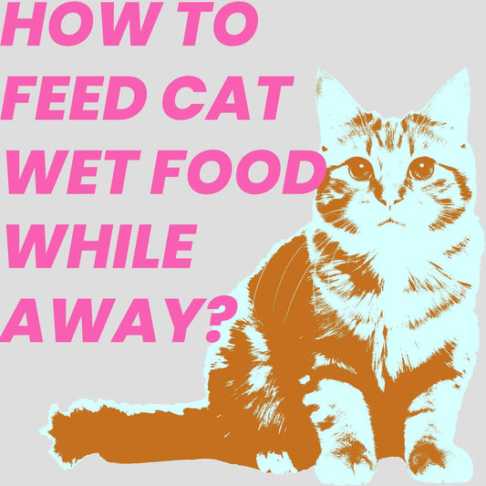 How to feed cat wet food while away?