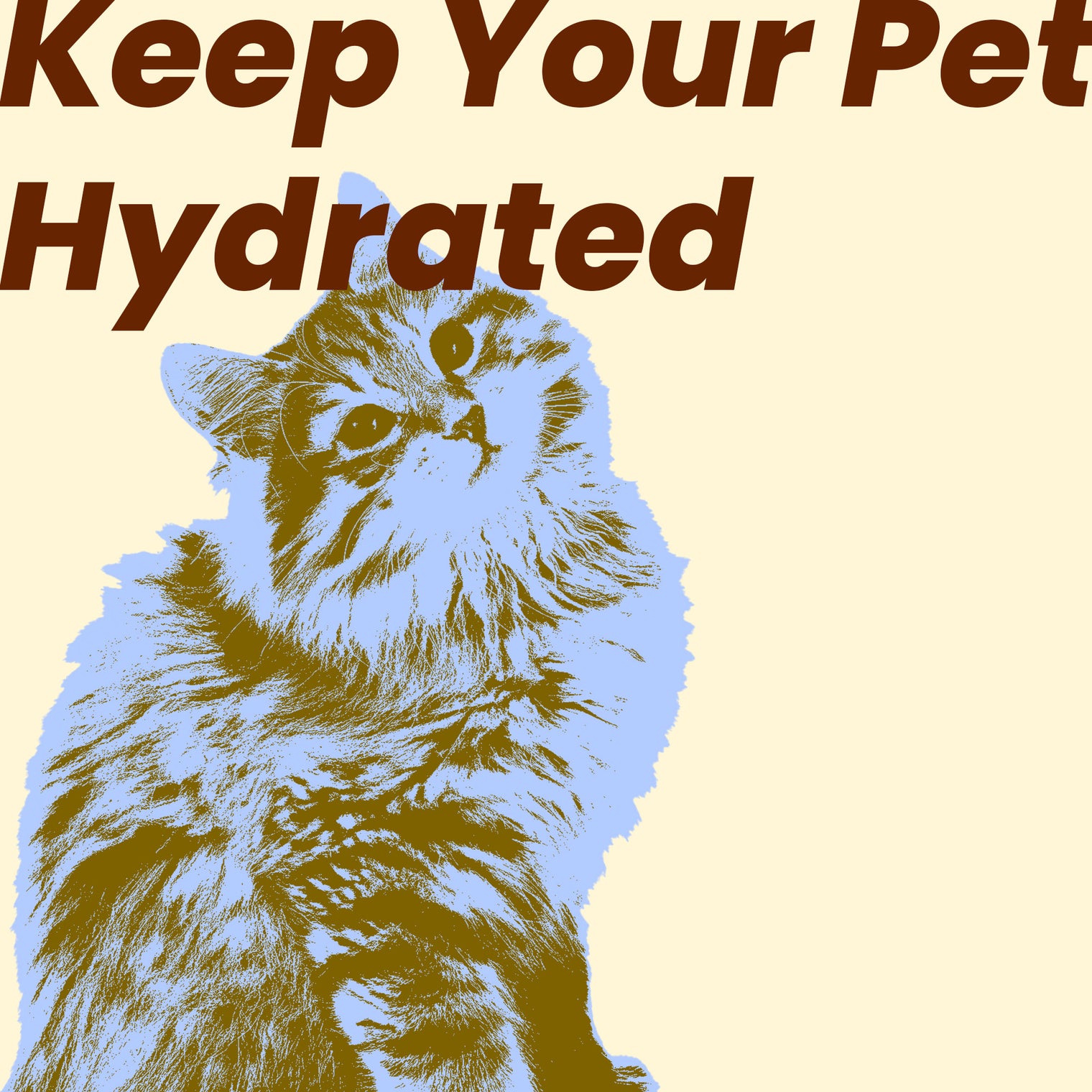 Keep Your Pet Hydrated: The Ultimate Guide to Finding the Best Pet Water Fountain