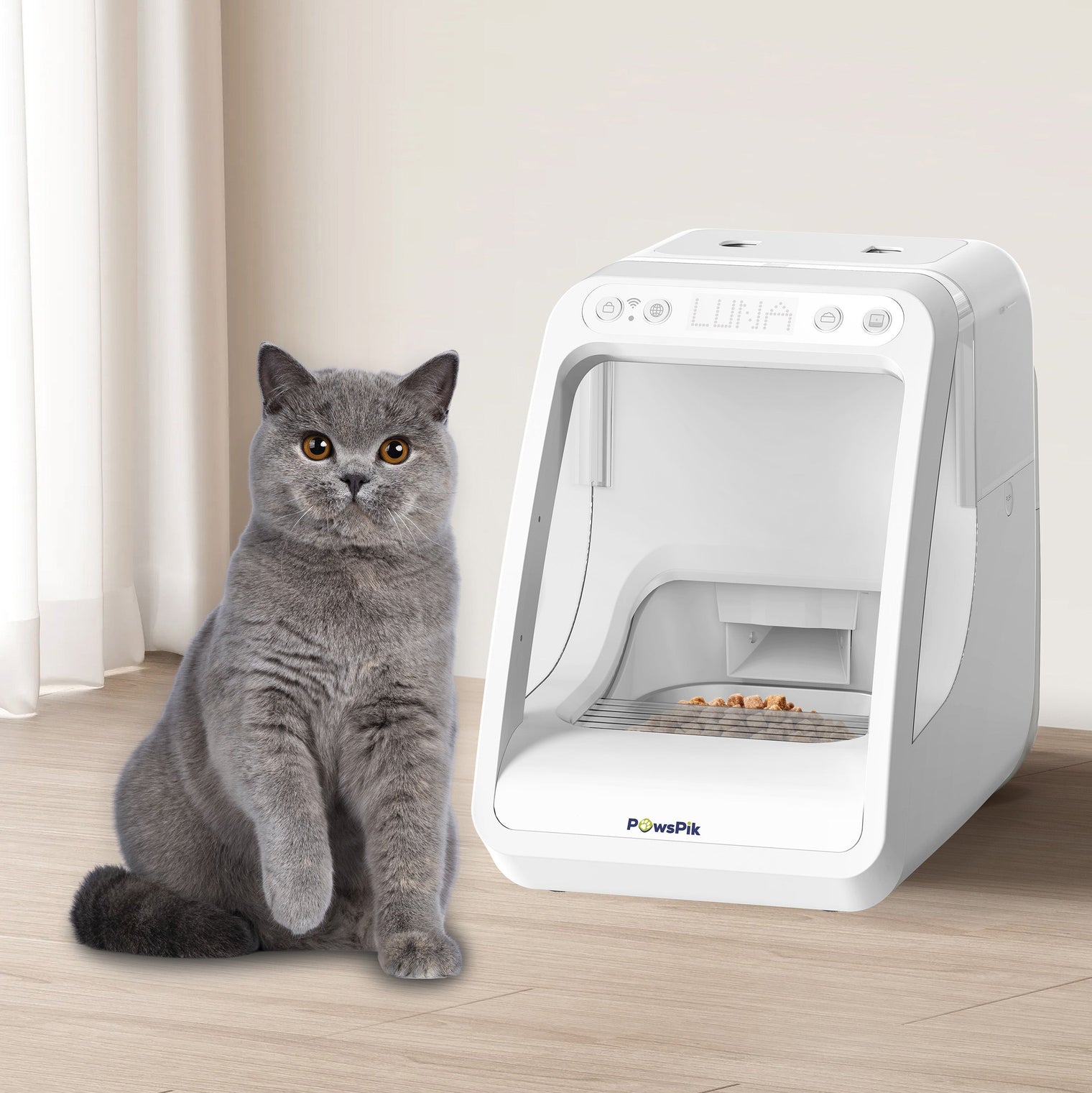 How to Feed Two Cats when One Overeats