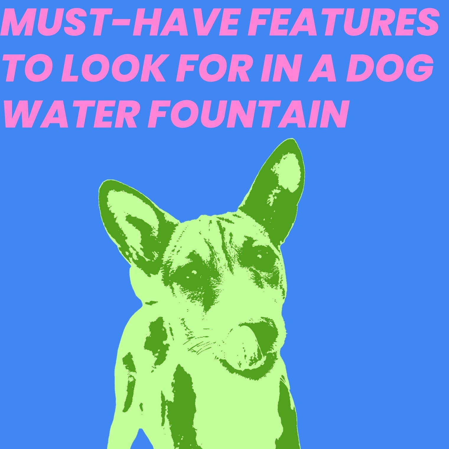 Must-Have Features to Look for in a Dog Water Fountain