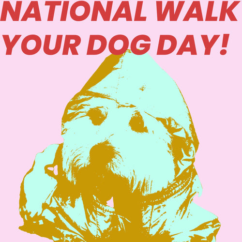 National Walk your Dog Day!