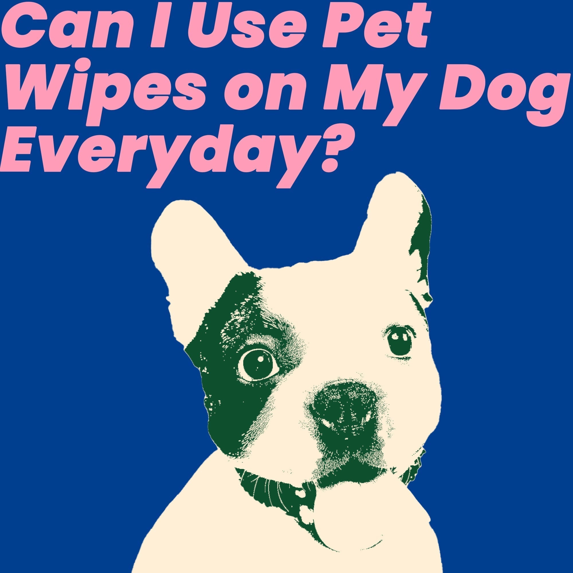 Can I Use Pet Wipes on My Dog Everyday?
