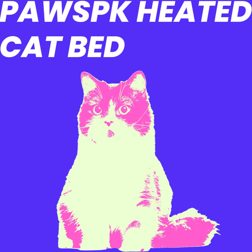 How the PawsPk Heated Cat Bed can ease Your Cat’s Life During Winters