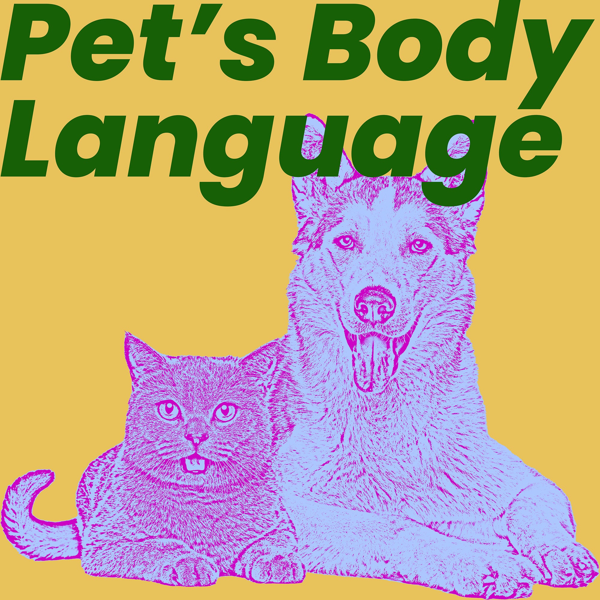 Understanding Your Pet’s Body Language: What Your Pet Is Trying to Tell You