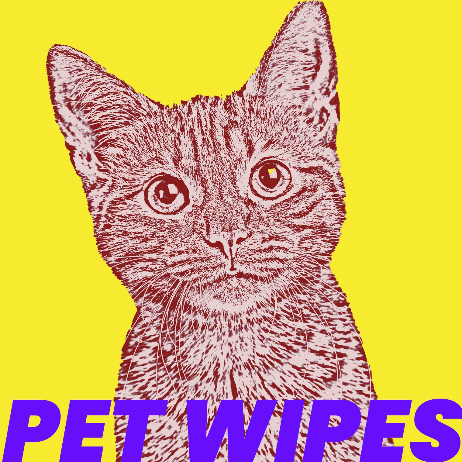 Cat and Dog Wipes: How To’s and Benefits