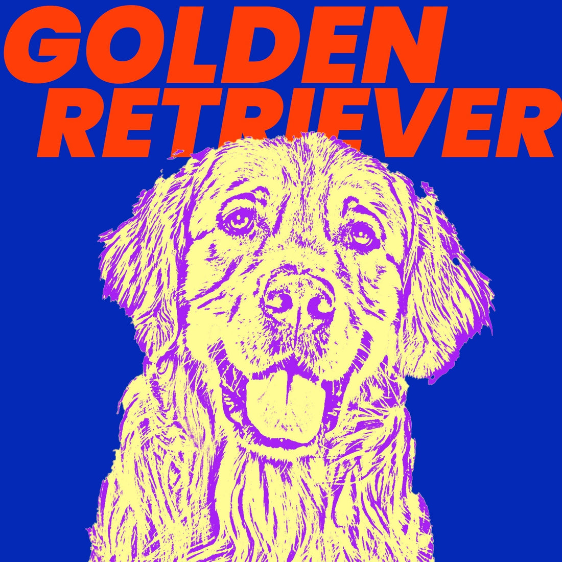 How to Groom a Golden Retriever PawsPik