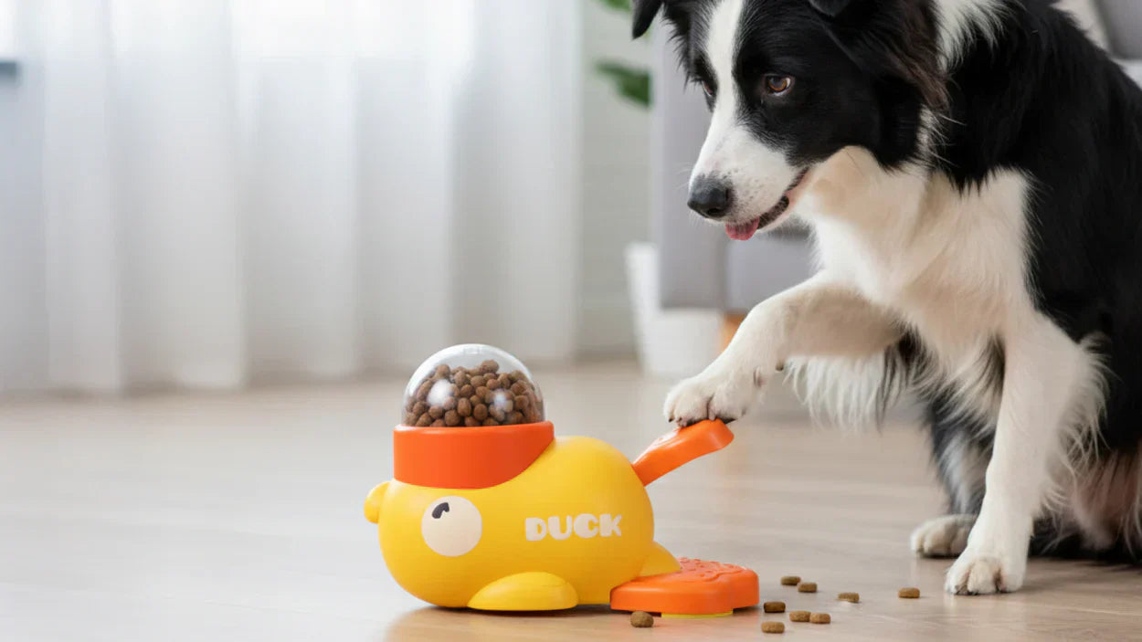 Boredom Busters: The Best Pet Toys To Keep Your Dog Entertained This Summer