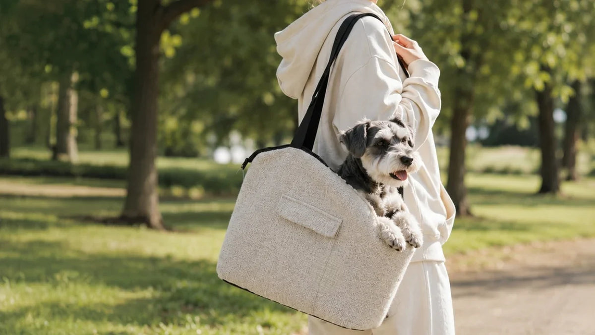 Travel Easy On The Go: The Ultimate Gear for Stress-Free Pet Adventures