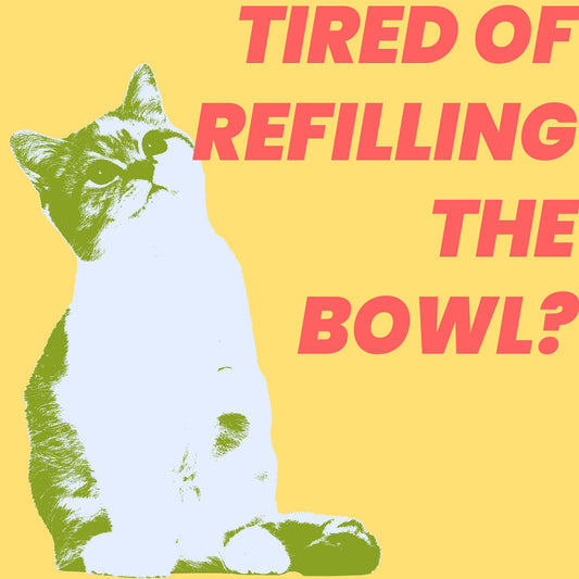 Tired of Refilling the Bowl? Discover the Convenience of a Smart Pet Water Dispenser