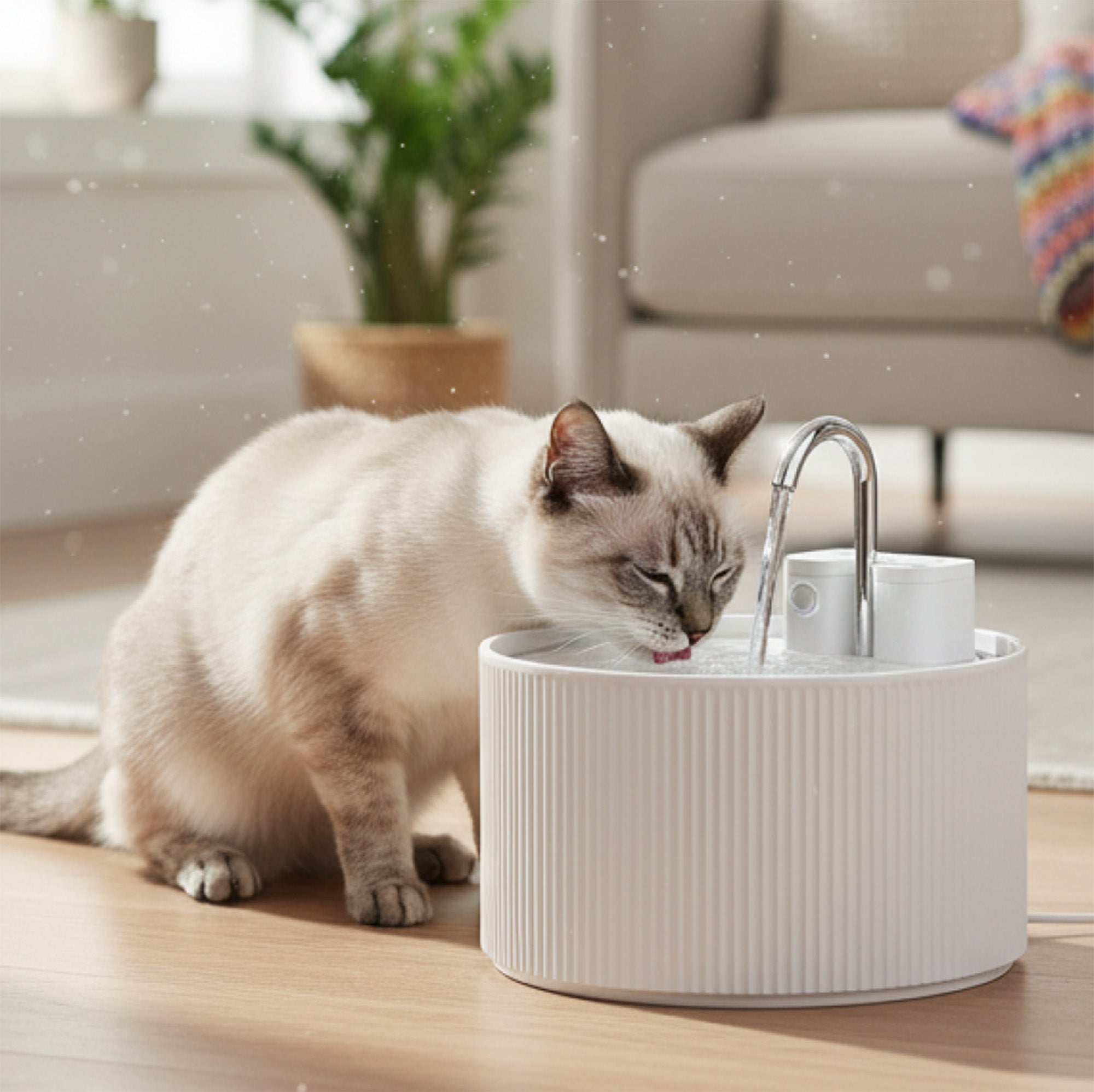 Are cat water fountains safe?