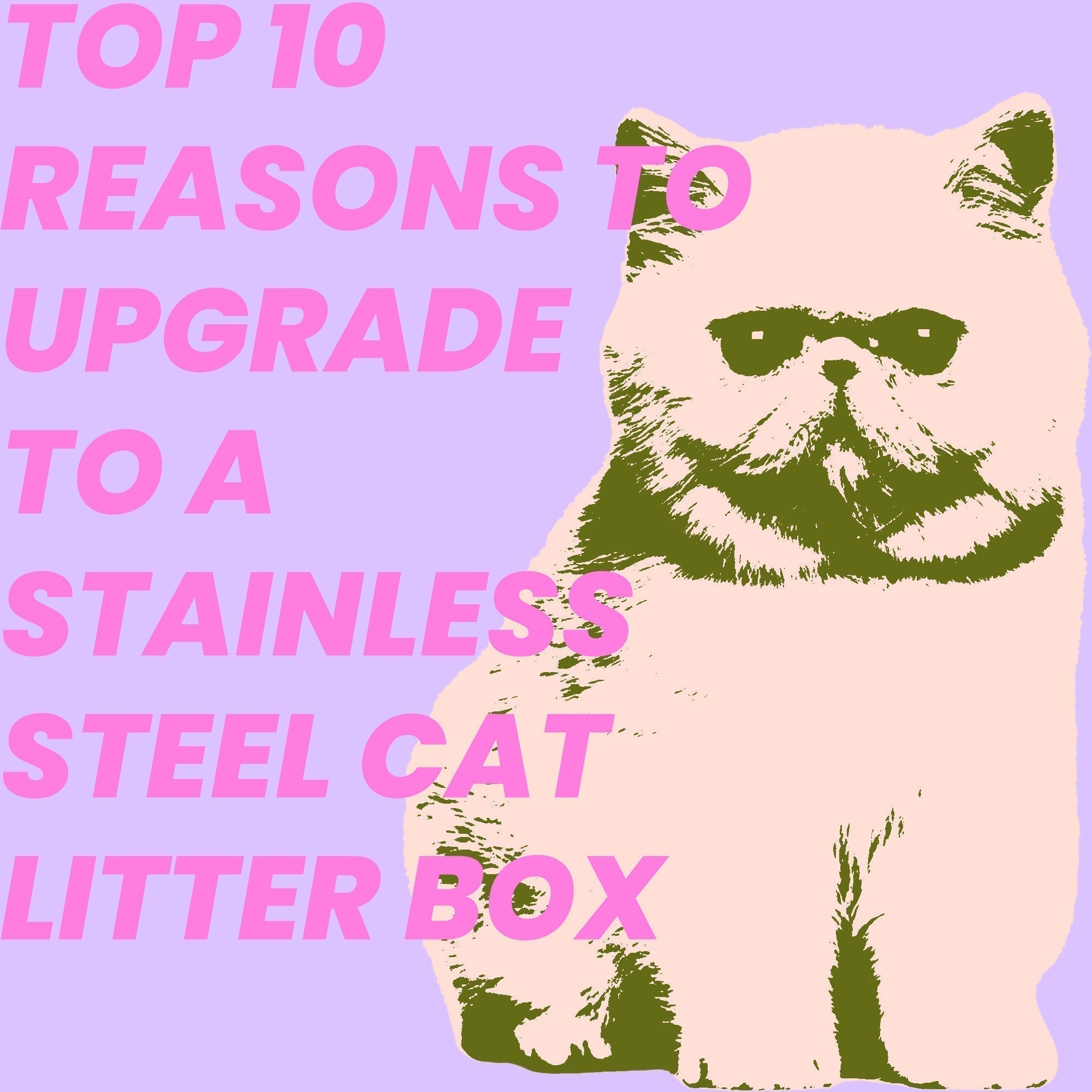Top 10 Reasons to Upgrade to a Stainless Steel Cat Litter Box