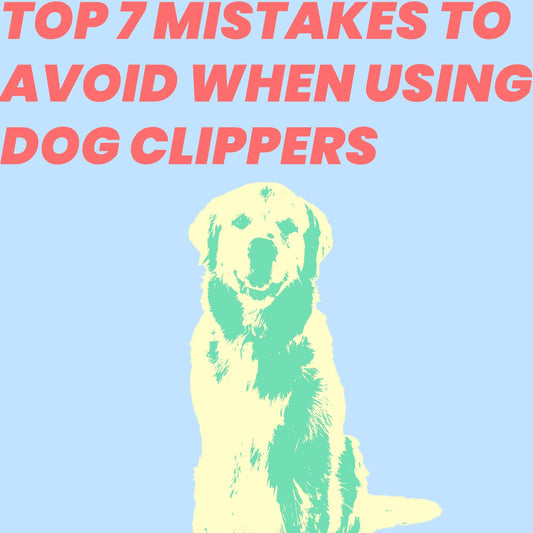 Top 7 Mistakes to Avoid When Using Dog Clippers (And How to Fix Them!)
