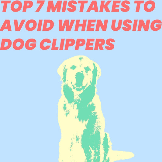 Top 7 Mistakes to Avoid When Using Dog Clippers (And How to Fix Them!)