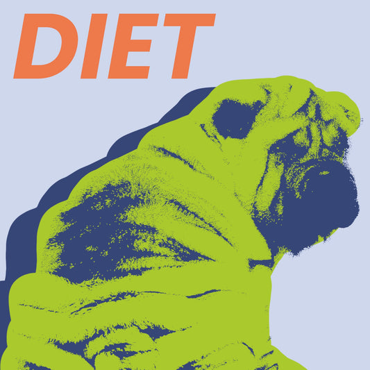 Importance of Diet Consistency for Your Pets