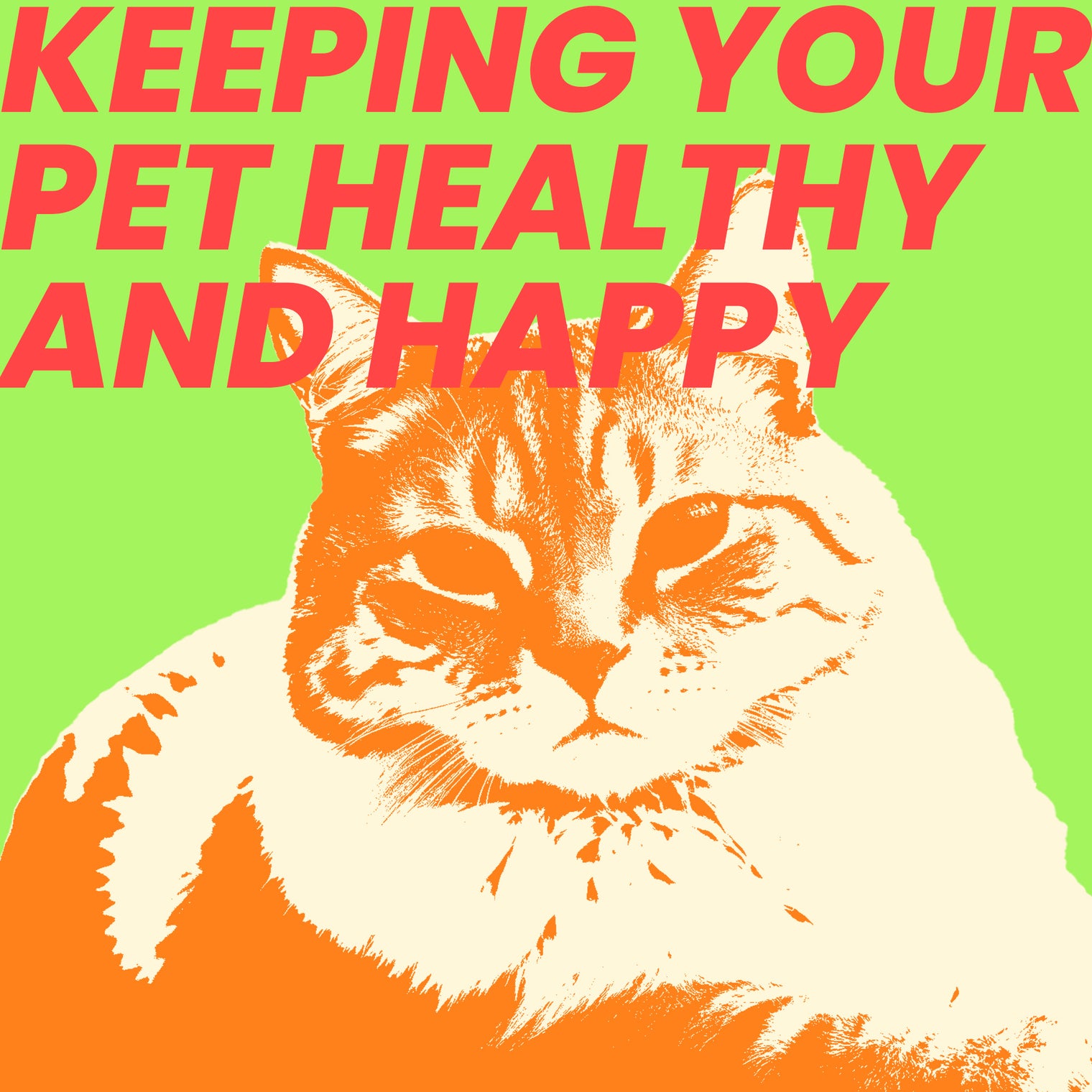 Healthy Pet: 5 Essential Tips for Keeping Your Pet Healthy and Happy at Home