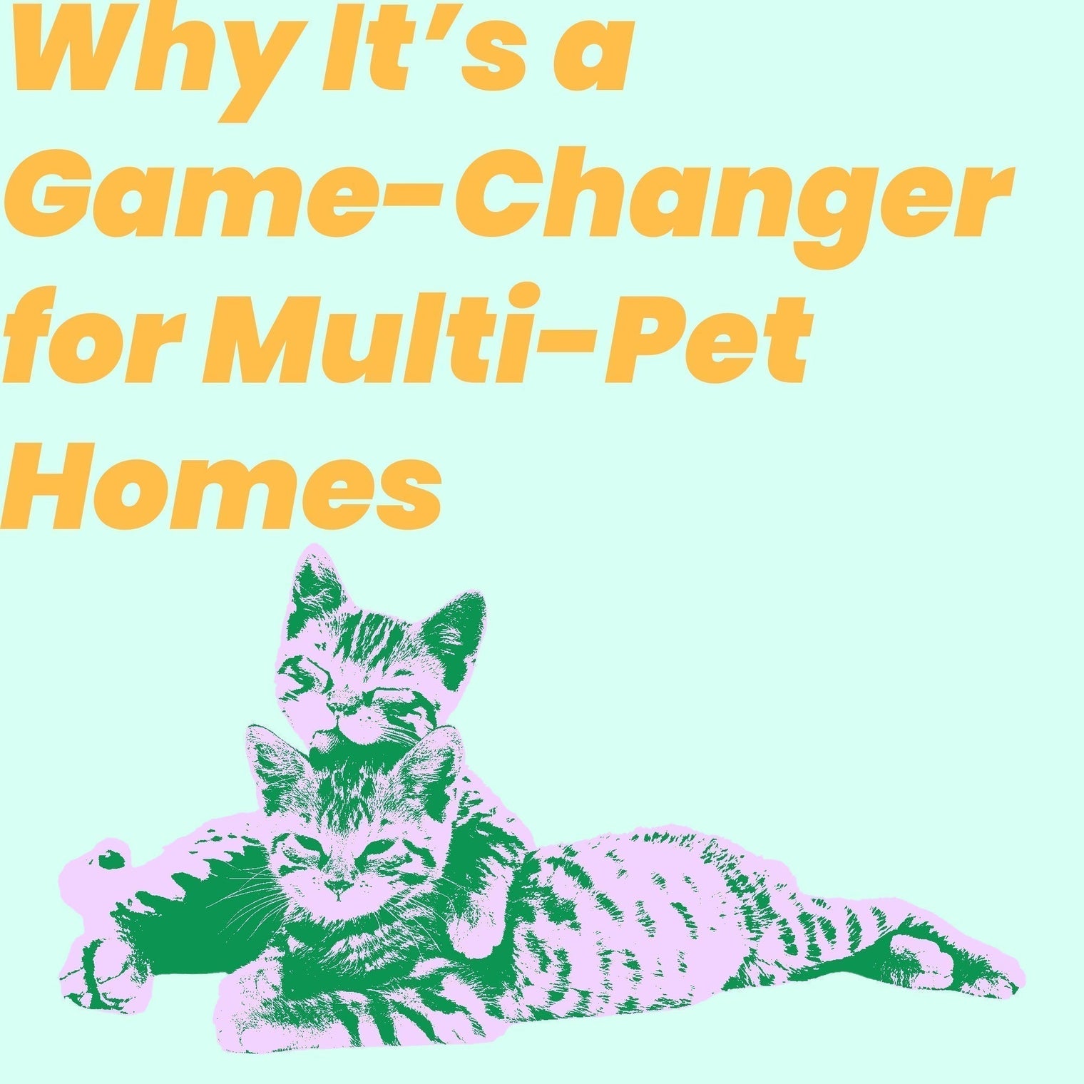 What Is a Microchip Feeder and Why It’s a Game-Changer for Multi-Pet Homes