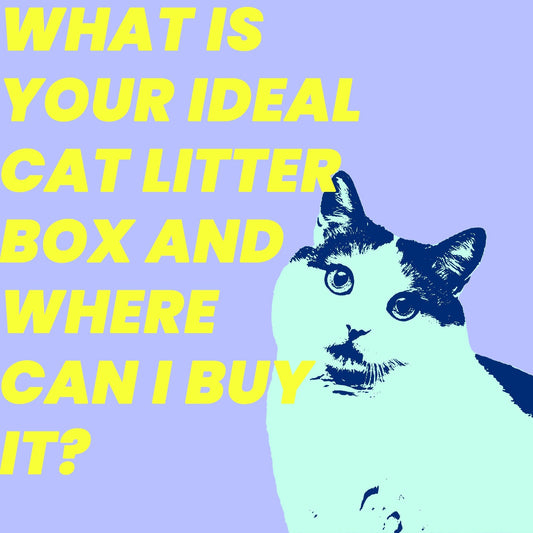 What is Your Ideal Cat Litter Box and Where Can I Buy It?