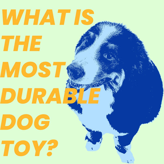 What is the Most Durable Dog Toy?