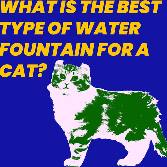 What is the best type of water fountain for a cat?