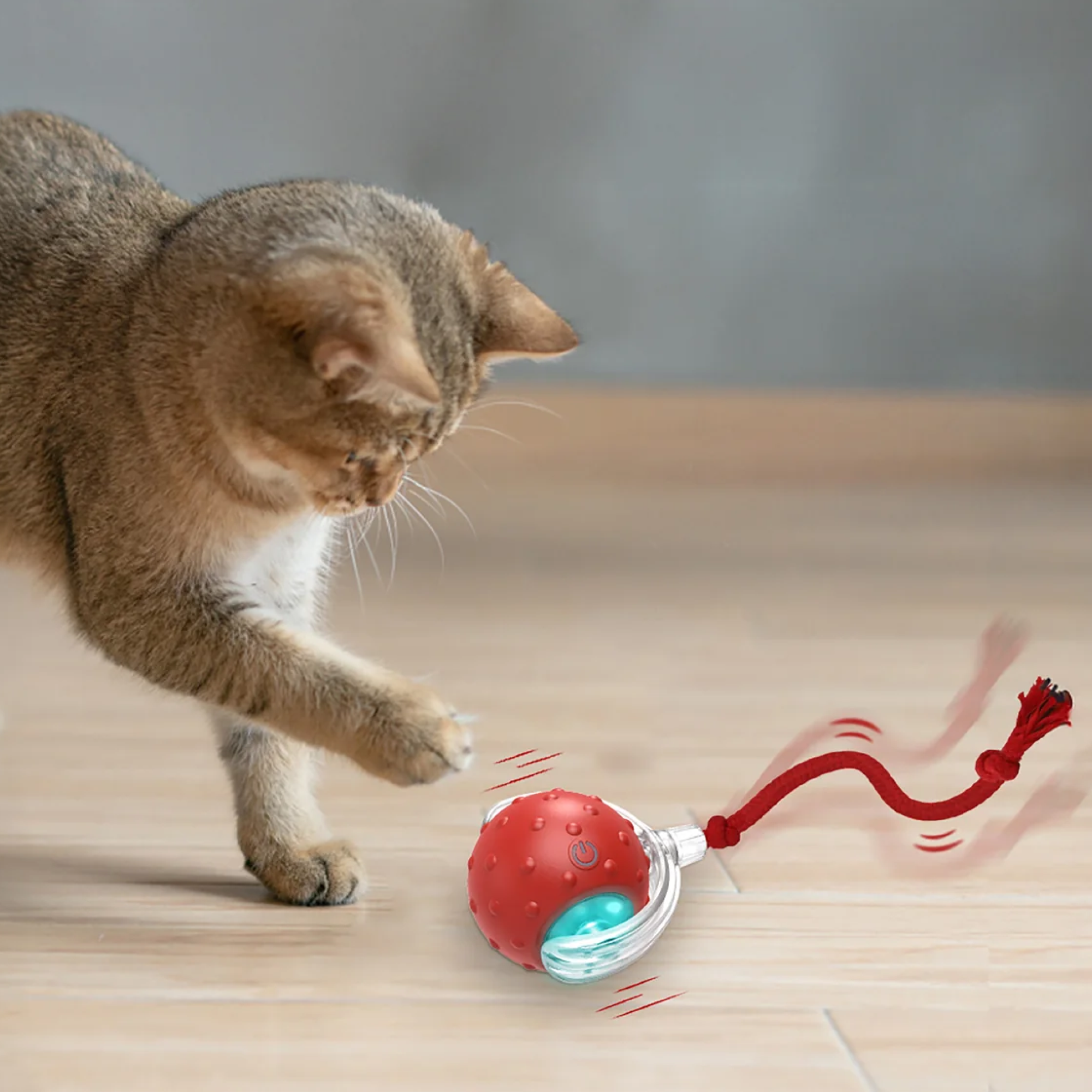 Why Cat Toys Are Essential for Your Kitty’s Health & Happiness