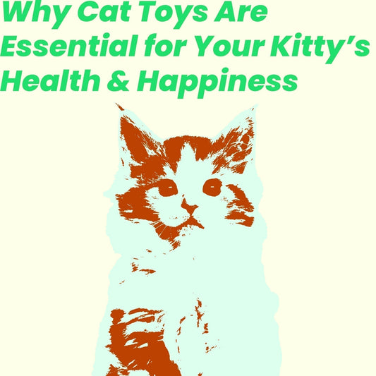 Why Cat Toys Are Essential for Your Kitty’s Health & Happiness