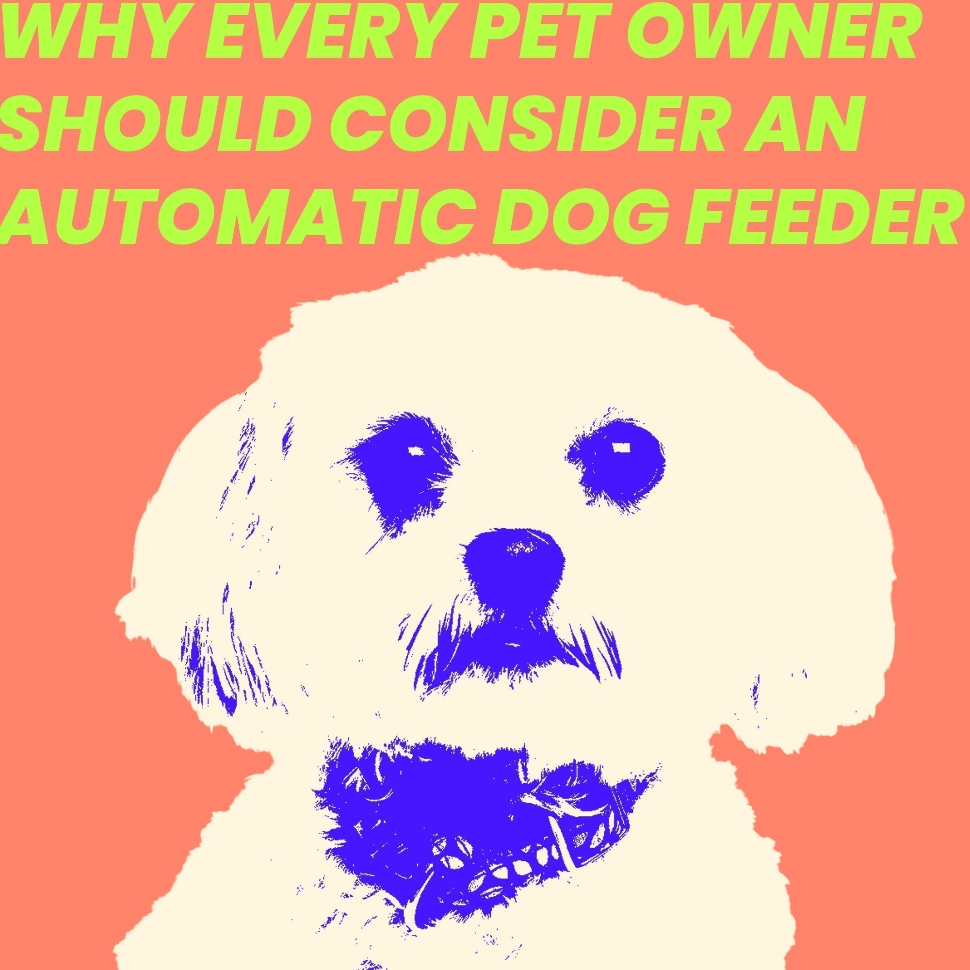 Why Every Pet Owner Should Consider An Automatic Dog Feeder: A Complete Guide