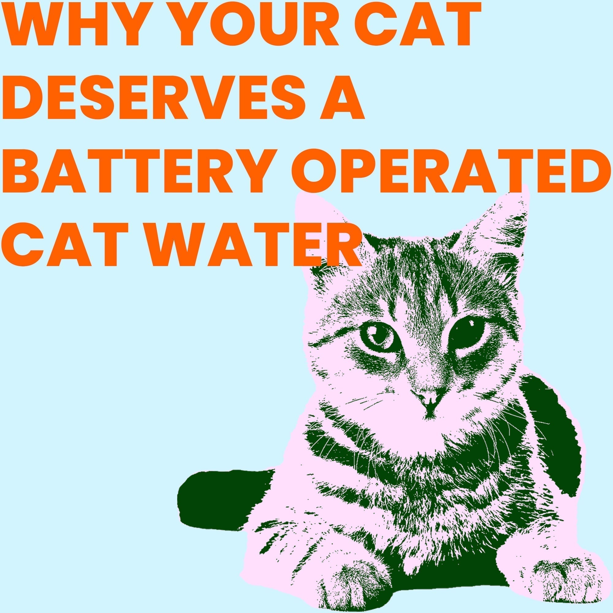 Why Your Cat Deserves a Battery Operated Cat Water Fountain