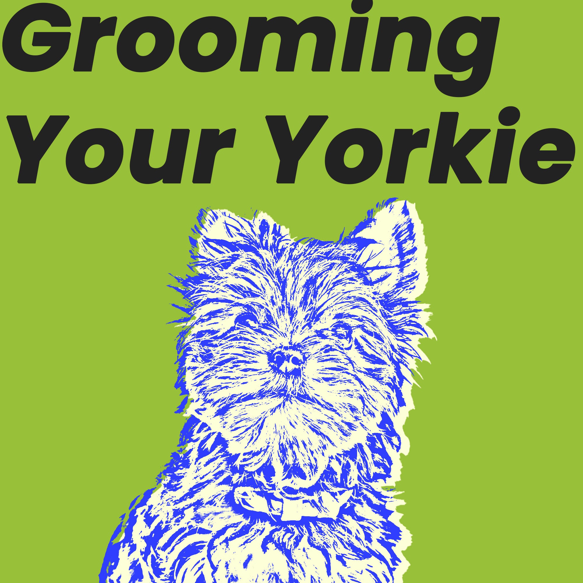 Grooming Your Yorkie: Tips & Tricks!