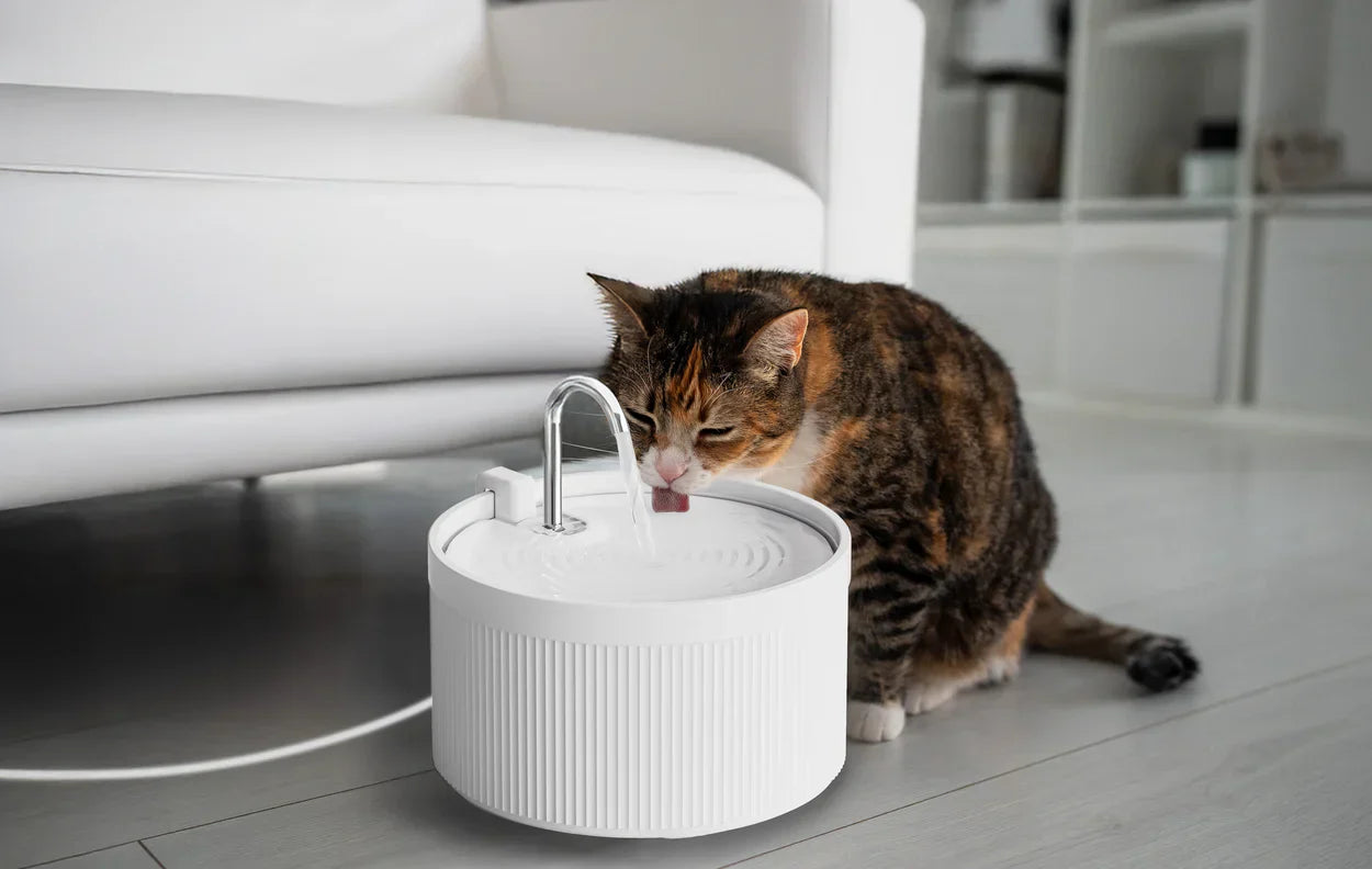 Keep Your Pets Cool and Hydrated This Summer with These Top Ceramic Fountains