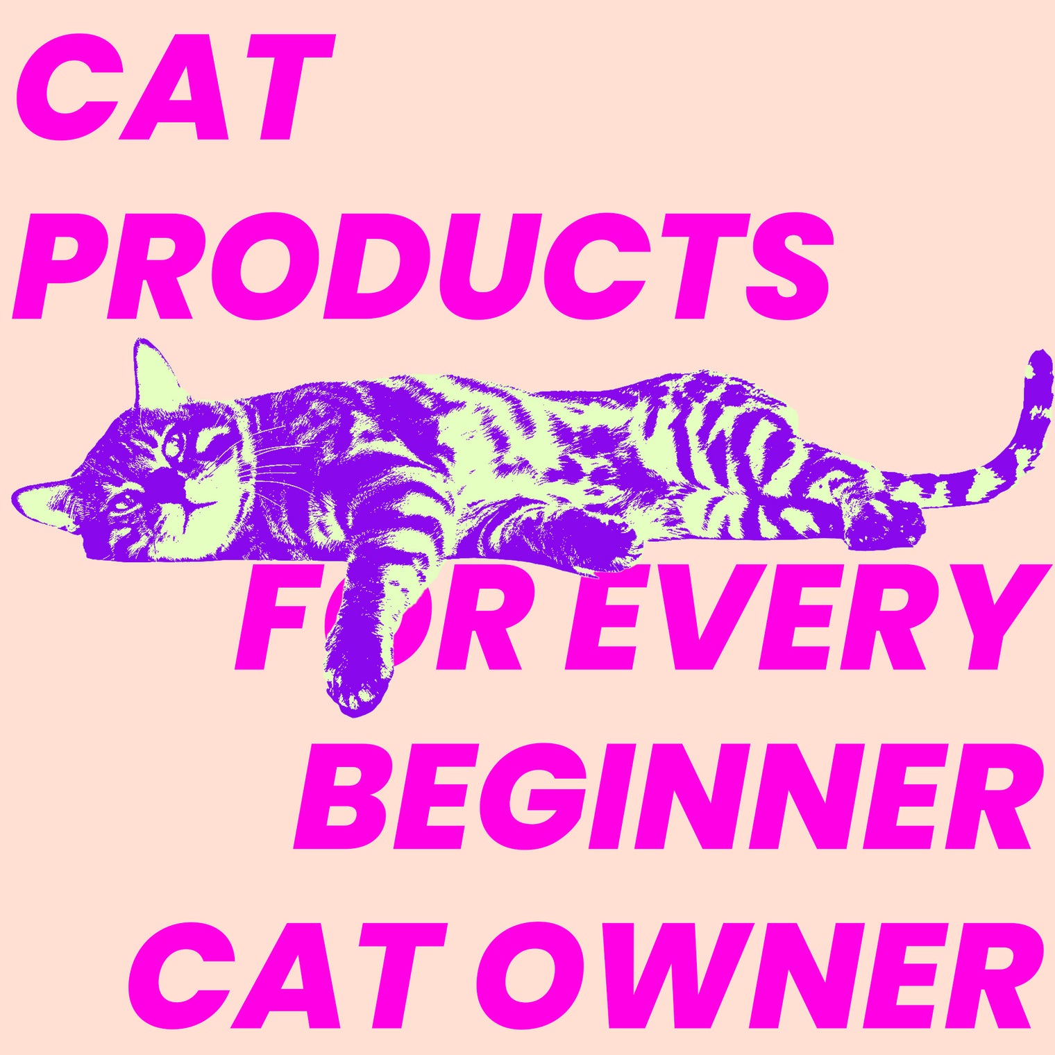 Cat Products: Must-Have Cat Products for Every Beginner Cat Owner