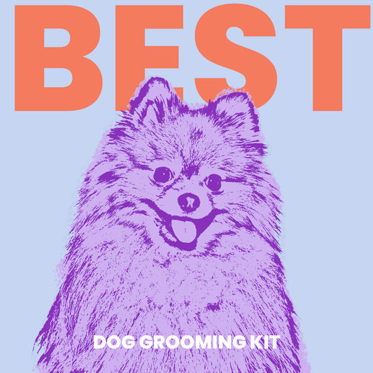 How to Choose the Best Dog Grooming Vacuum Kit