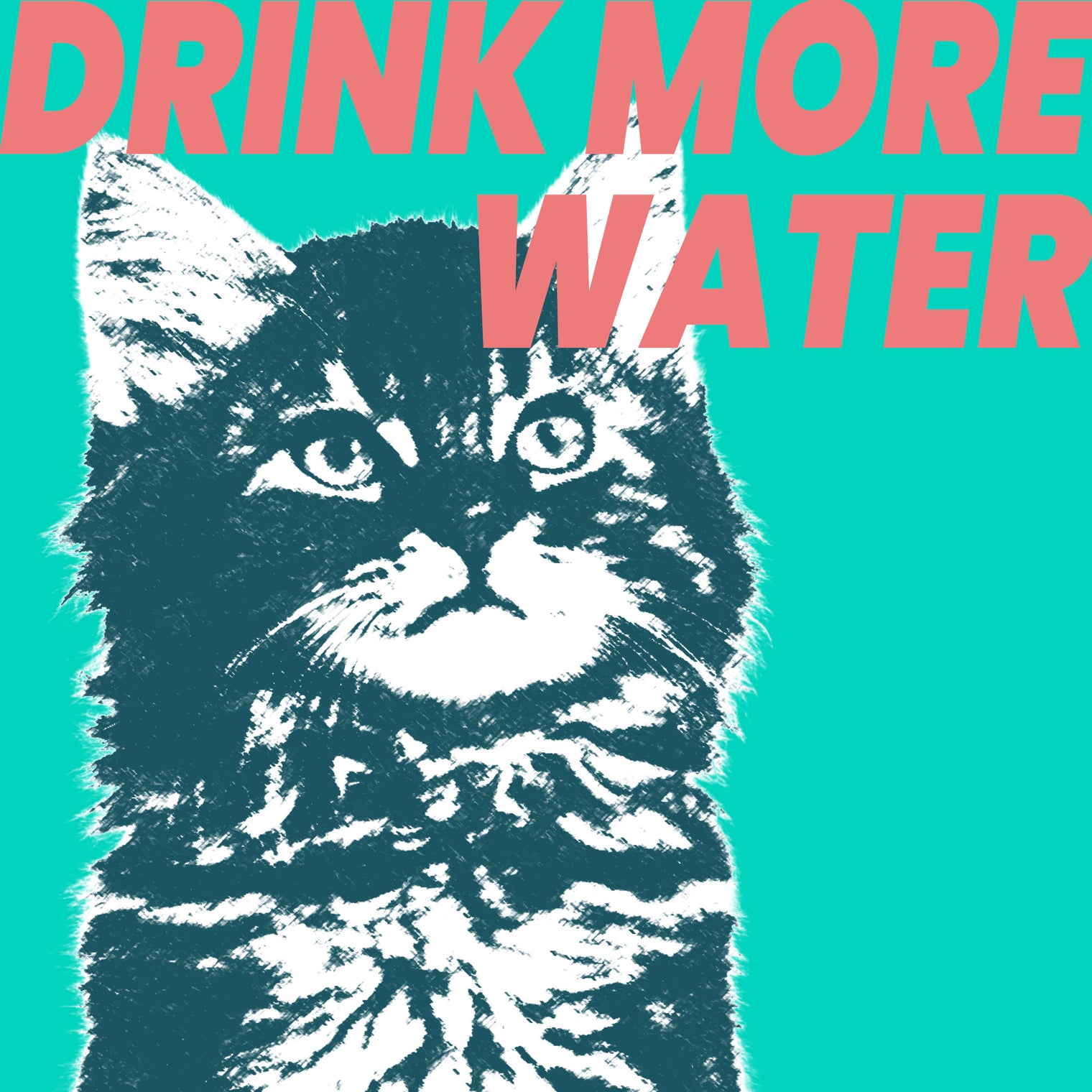 The Secret to Getting Your Cat to Drink More Water