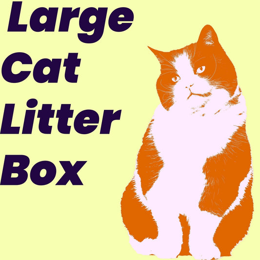Design Meets Comfort: How PawsPik’s Large Cat Litter Box Blends Space, Style and Functionality