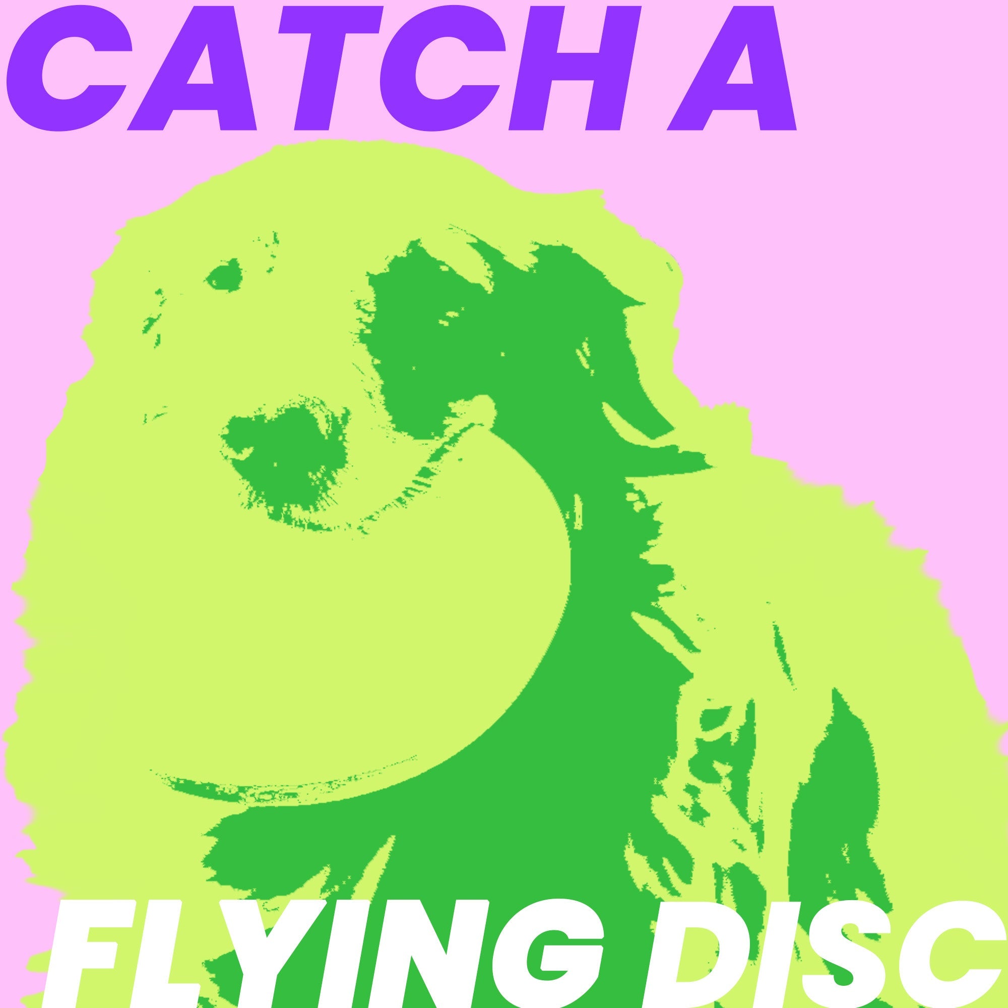 Tips to Teach a Dog to Catch a Flying Disc Dog Toy