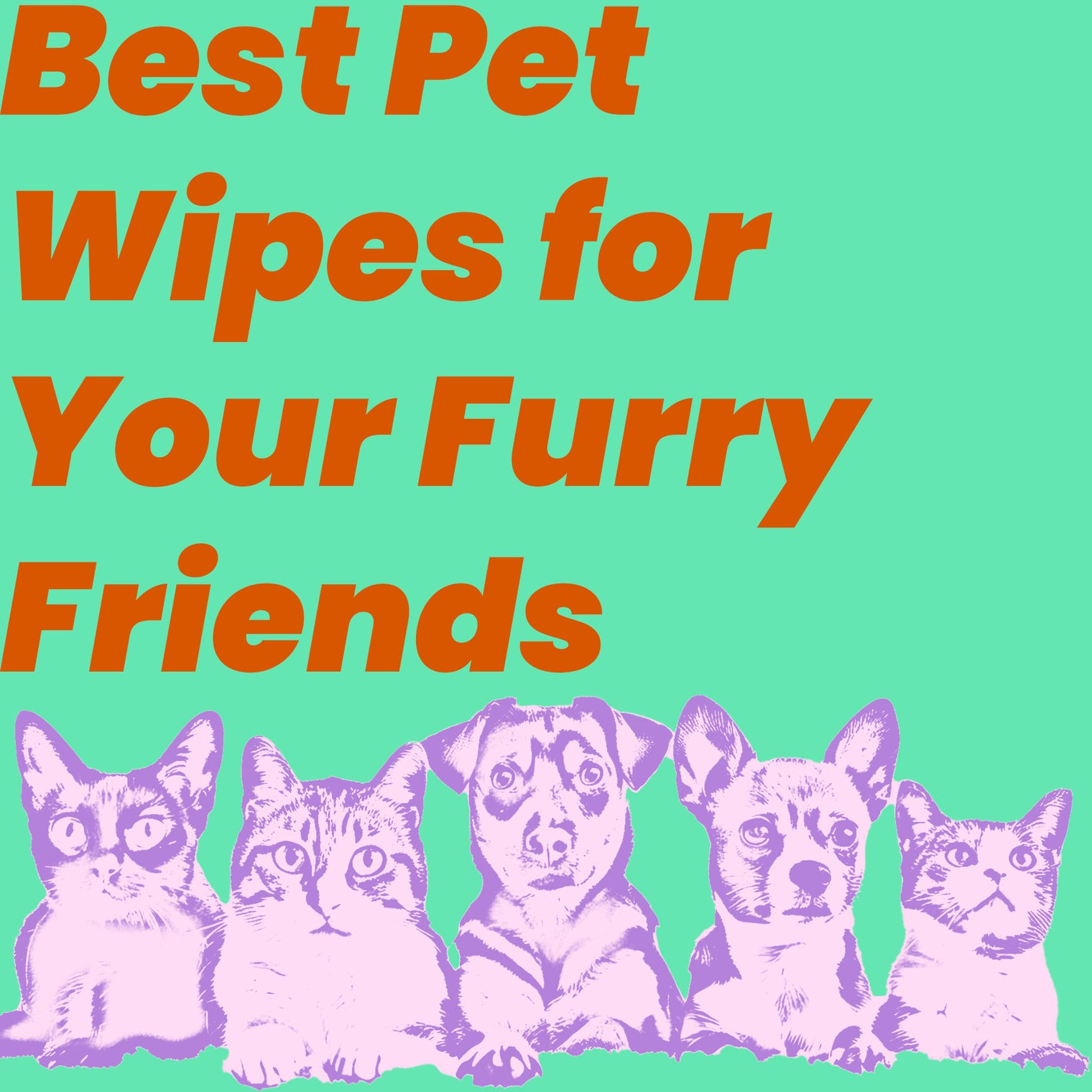 Best Pet Wipes for Your Furry Friends