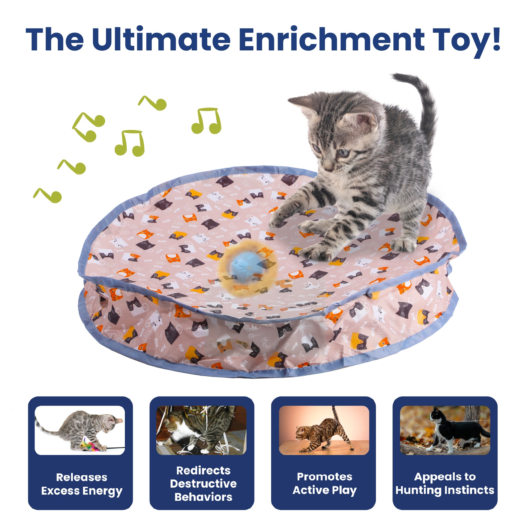 A playful kitten engages with a colorful PawsPik cat toy promoting active play and reducing destructive behaviors.