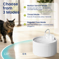 Load image into Gallery viewer, PawsPik® CeramiFlow Ceramic Battery-Operated Faucet Pet Water Fountain
