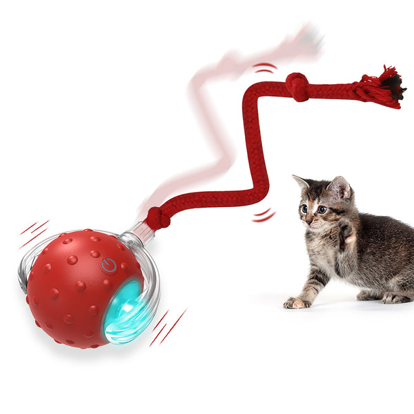 A playful kitten watches a glowing red cat ball on a string, designed to engage pets in fun, interactive play. 