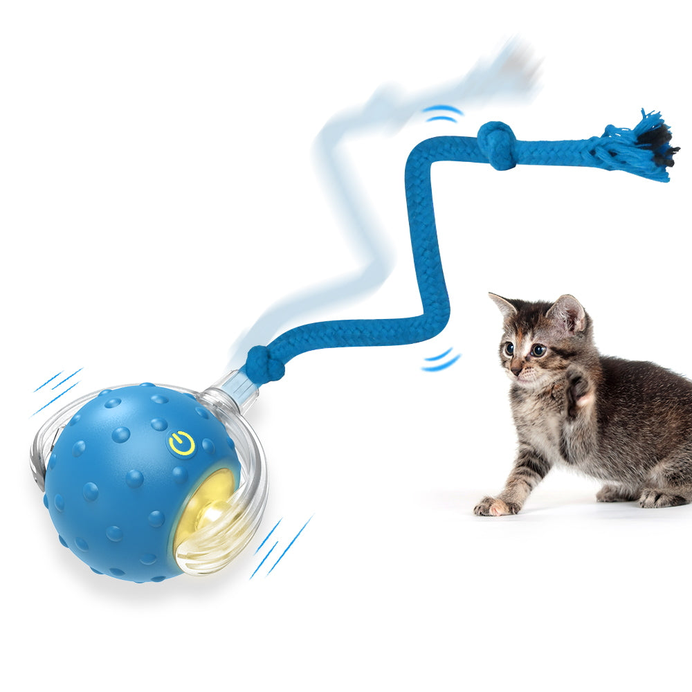 PawsPik Chirp & Chase Motion Activated Cat Ball with LED Lights, Red PawsPik Chirp & Chase Motion Activated Cat Ball with LED Lights, Red