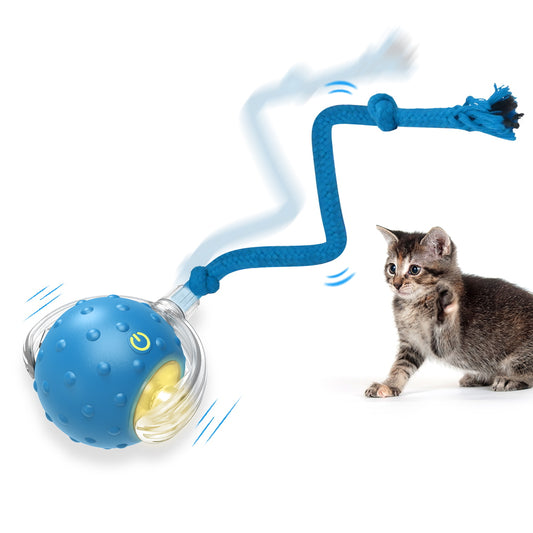 PawsPik® Cat Toy Chirp & Chase Motion Activated Cat Ball with LED Lights