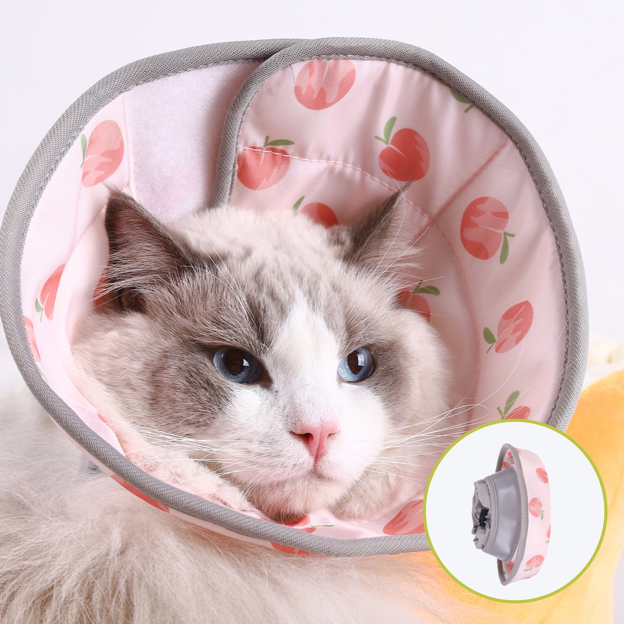 A close-up of a fluffy cat wearing a pink floral cone cat recovery collar showcasing its striking blue eyes and soft fur.