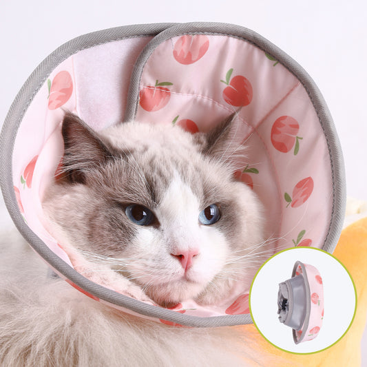 A close-up of a fluffy cat wearing a pink floral cone cat recovery collar showcasing its striking blue eyes and soft fur.