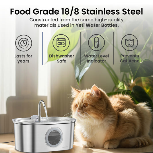 A ginger cat sits beside PawsPik stainless steel pet water fountain with icons featuring product features.