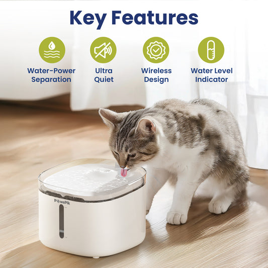 A cat drinking from a modern cat fountain with features like water separation, ultra-quiet operation, wireless design, and a water level indicator.