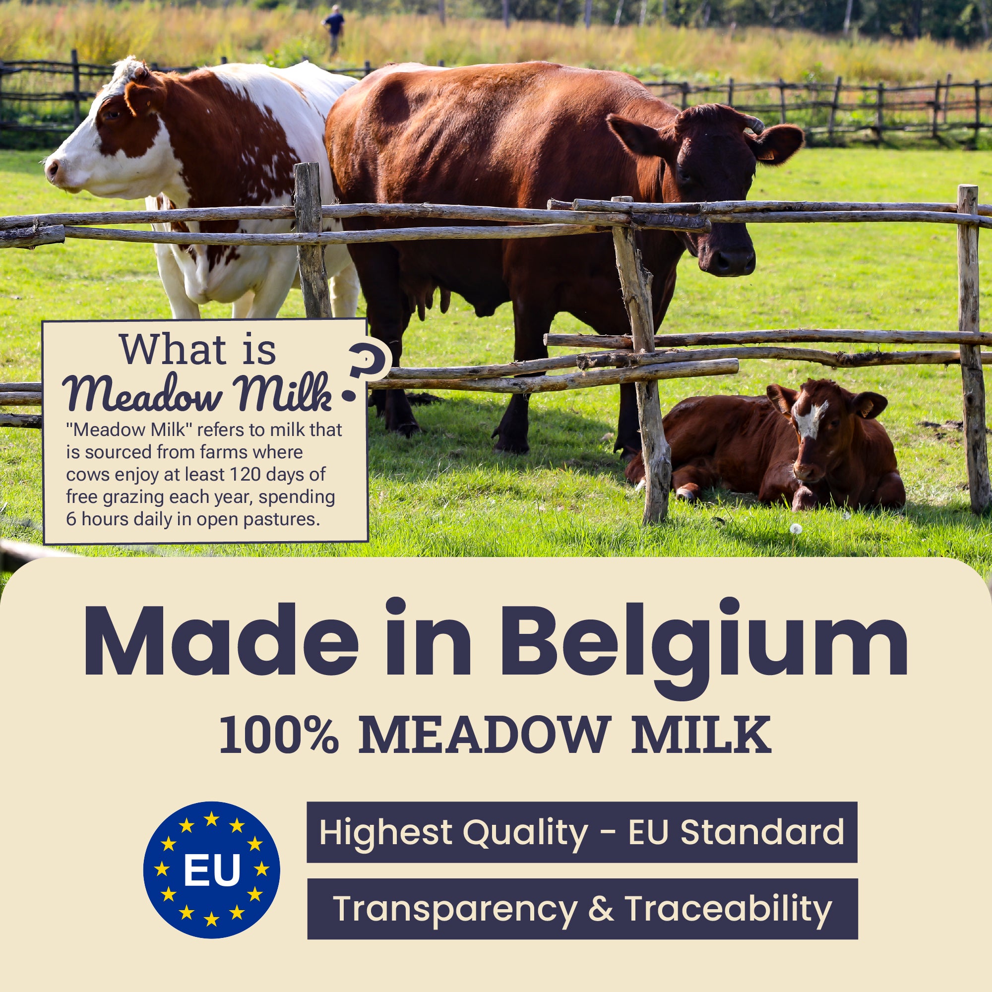 Artisanal Paws® Belgian Dog Chew®